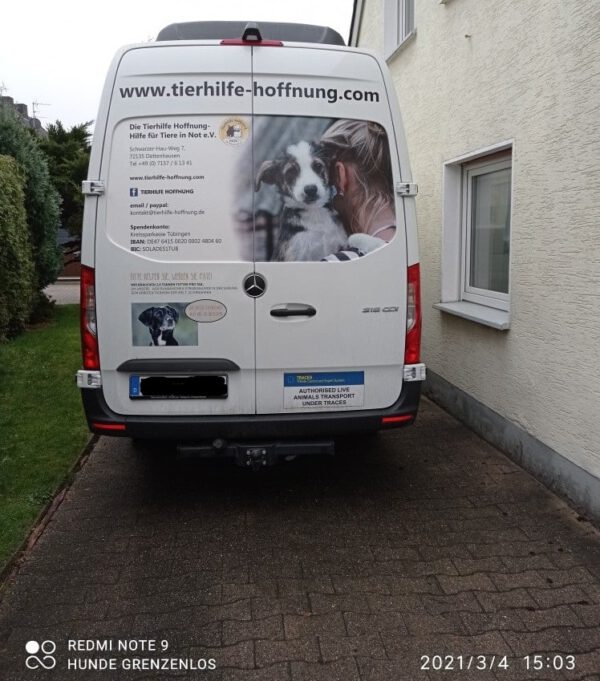 Hundetransport und Spenden für die SMEURA